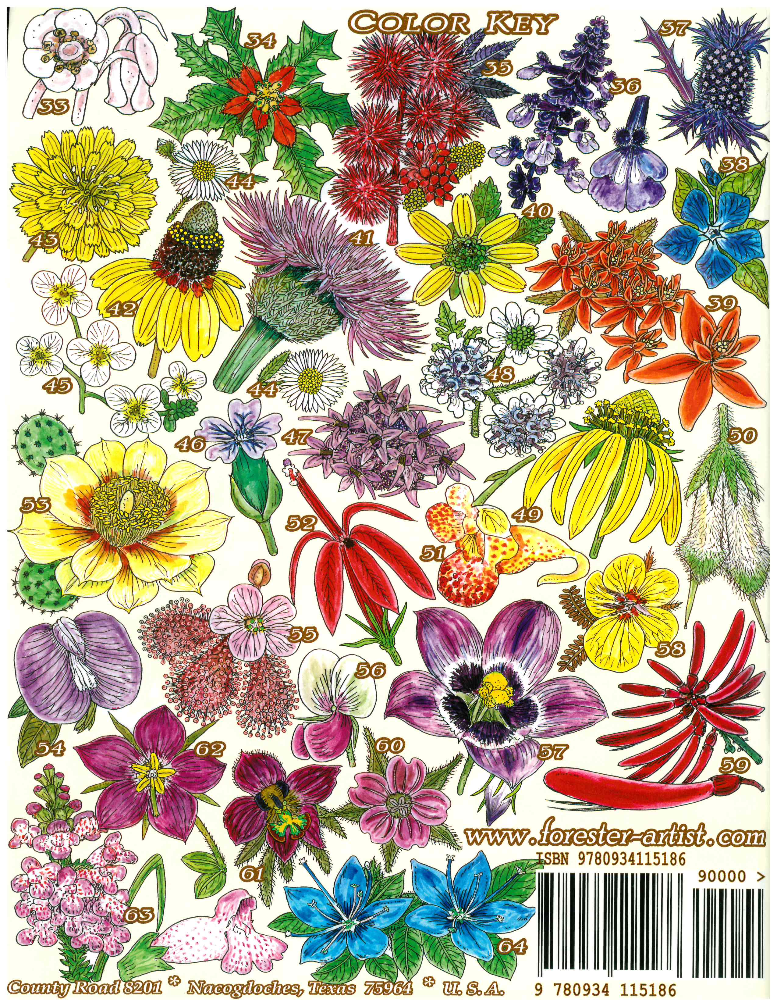 Plants of the Pineywoods of East Texas & West Louisiana