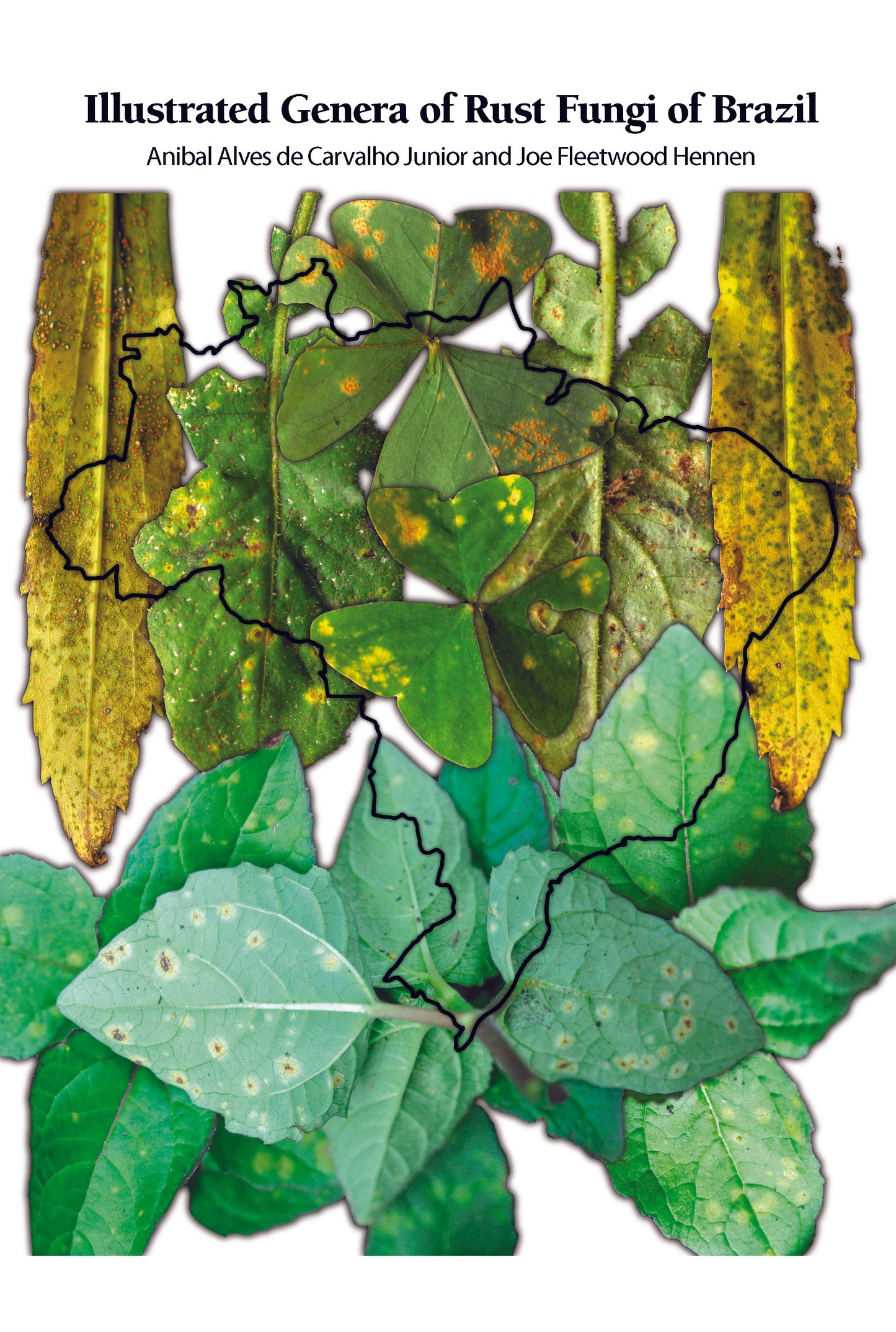 Illustrated Genera of Rust Fungi of Brazil