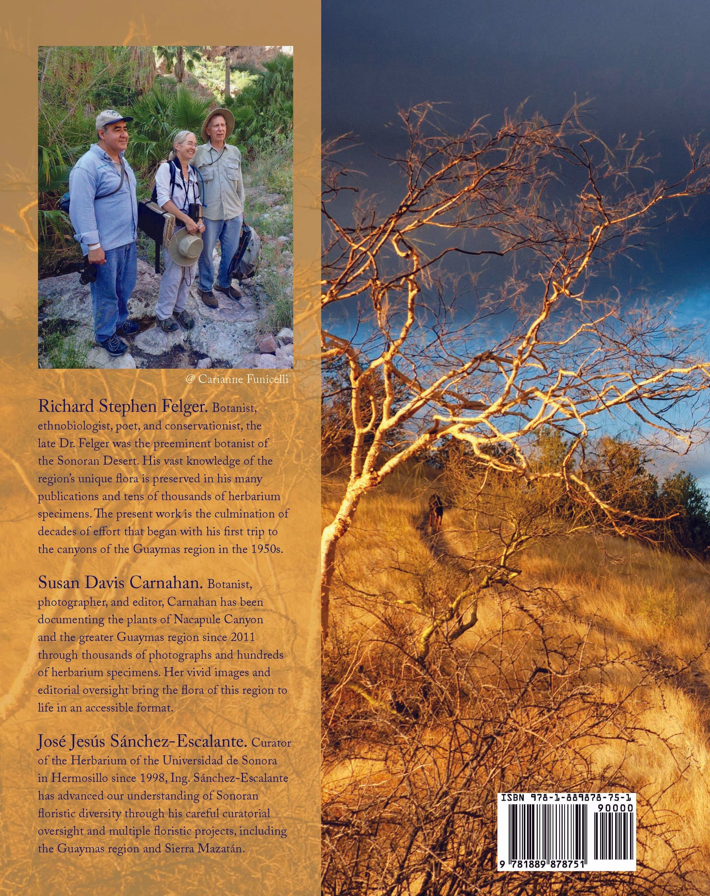 The Desert Edge: Flora of Guaymas-Yaqui Region of Sonora, Mexico