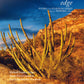 The Desert Edge: Flora of Guaymas-Yaqui Region of Sonora, Mexico