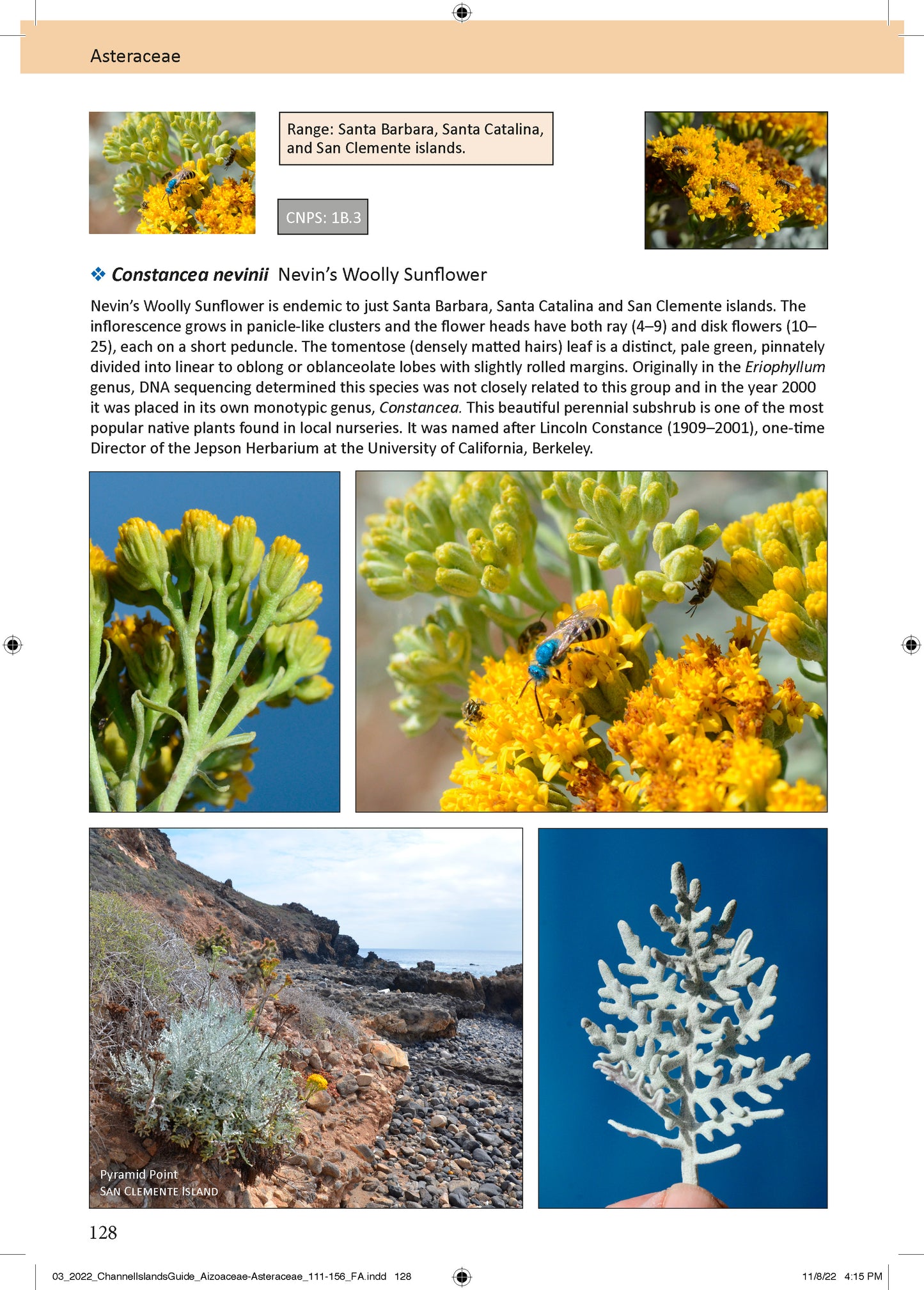 Plant Guide: Natural History, Channel Islands, California