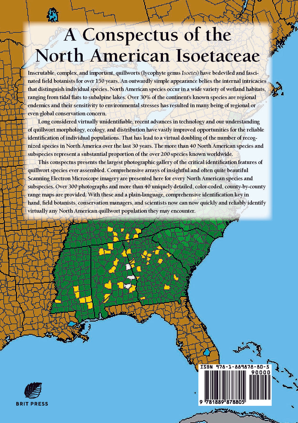 A Conspectus of the North American Isoetaceae