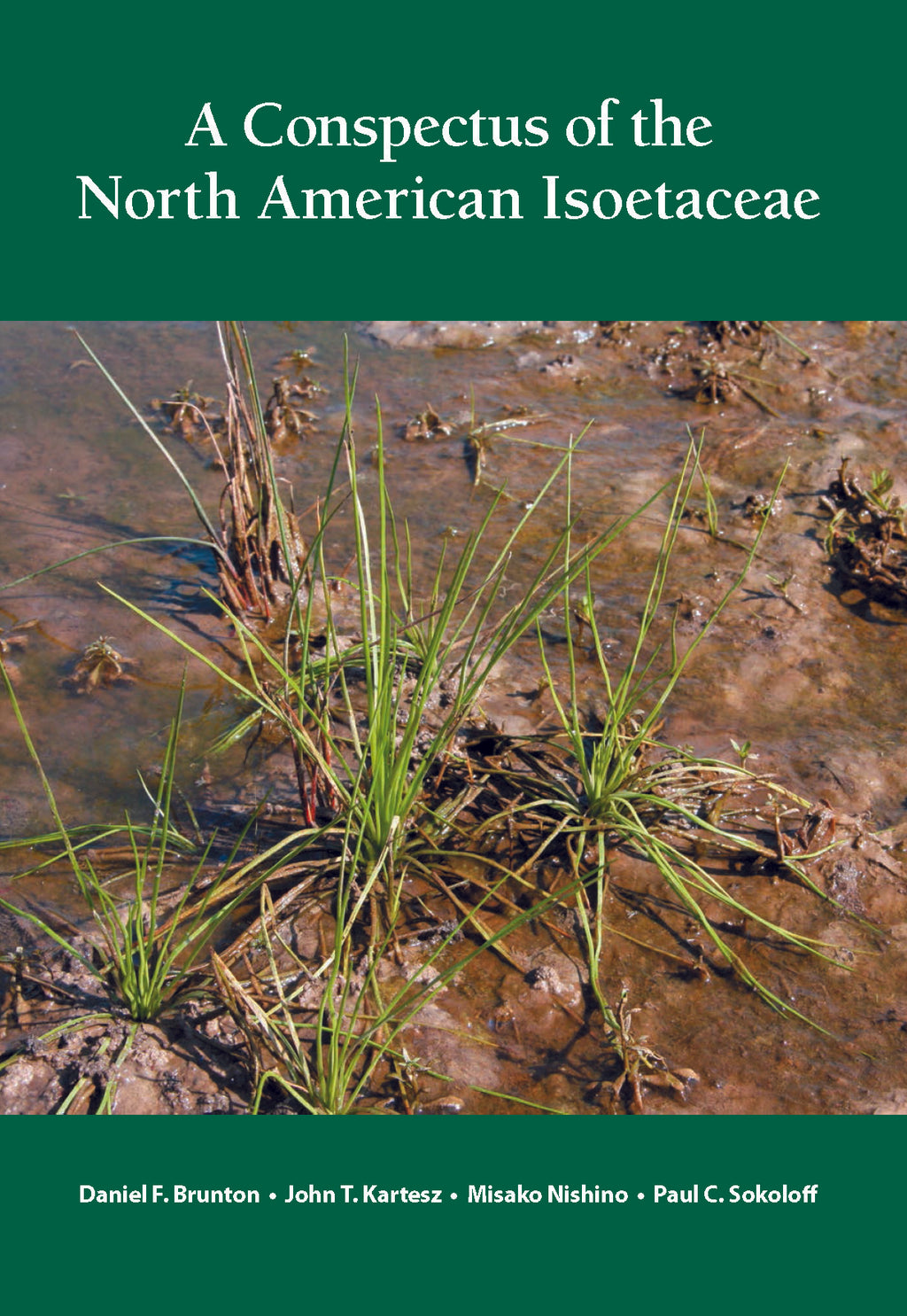 A Conspectus of the North American Isoetaceae
