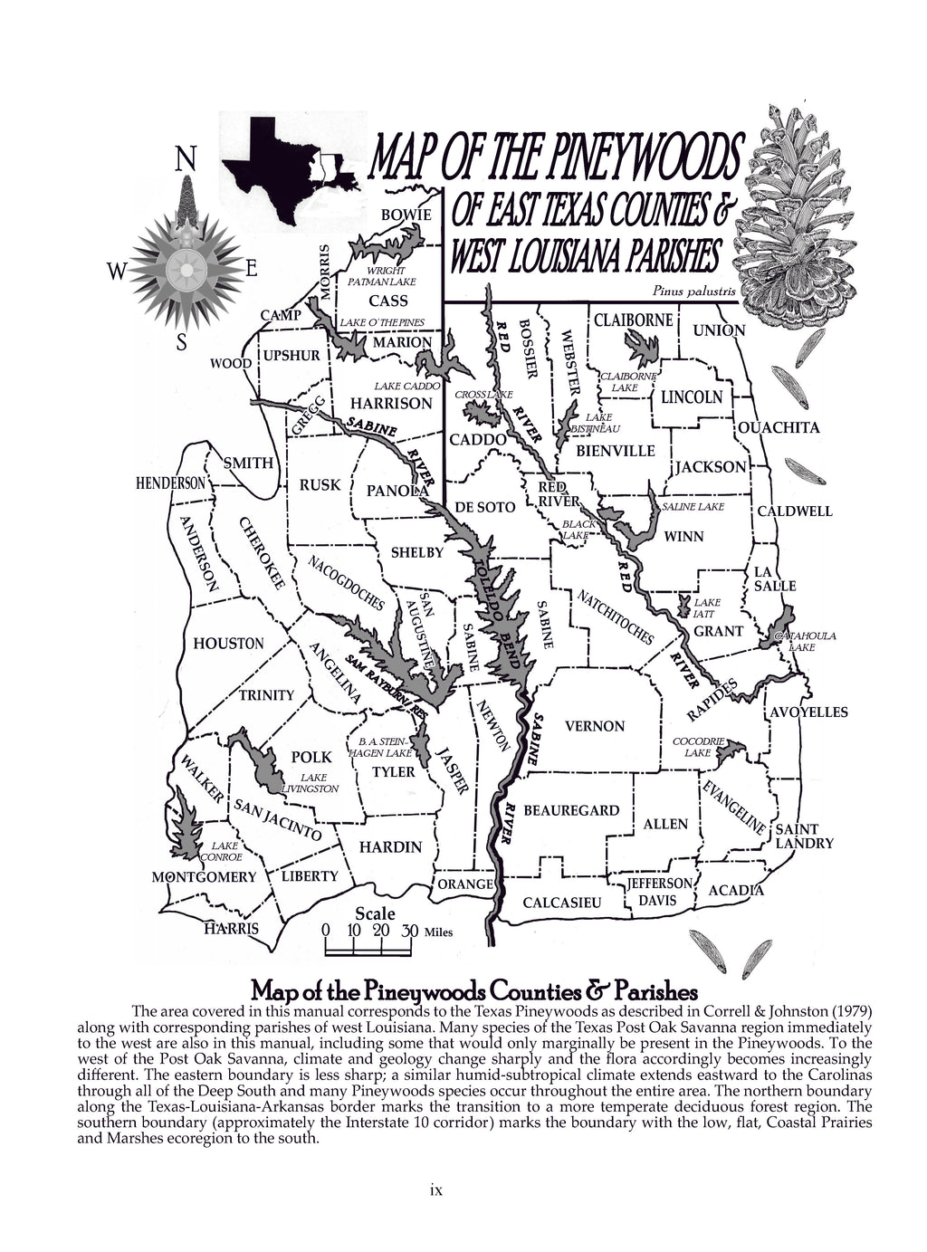 Plants of the Pineywoods of East Texas & West Louisiana