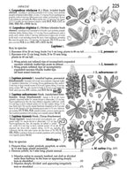 Plants of the Pineywoods of East Texas & West Louisiana