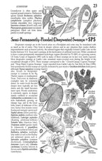 Plants of the Pineywoods of East Texas & West Louisiana