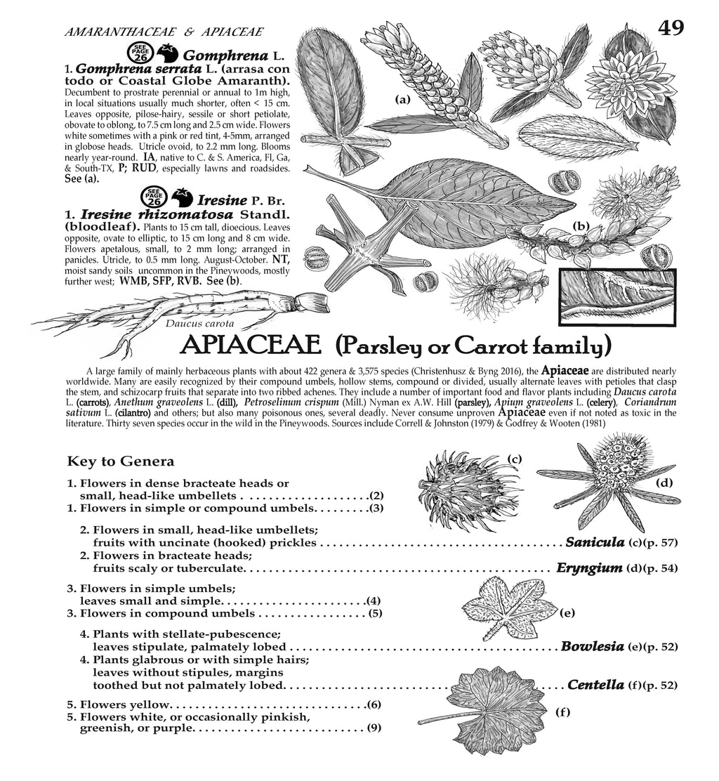 Plants of the Pineywoods of East Texas & West Louisiana