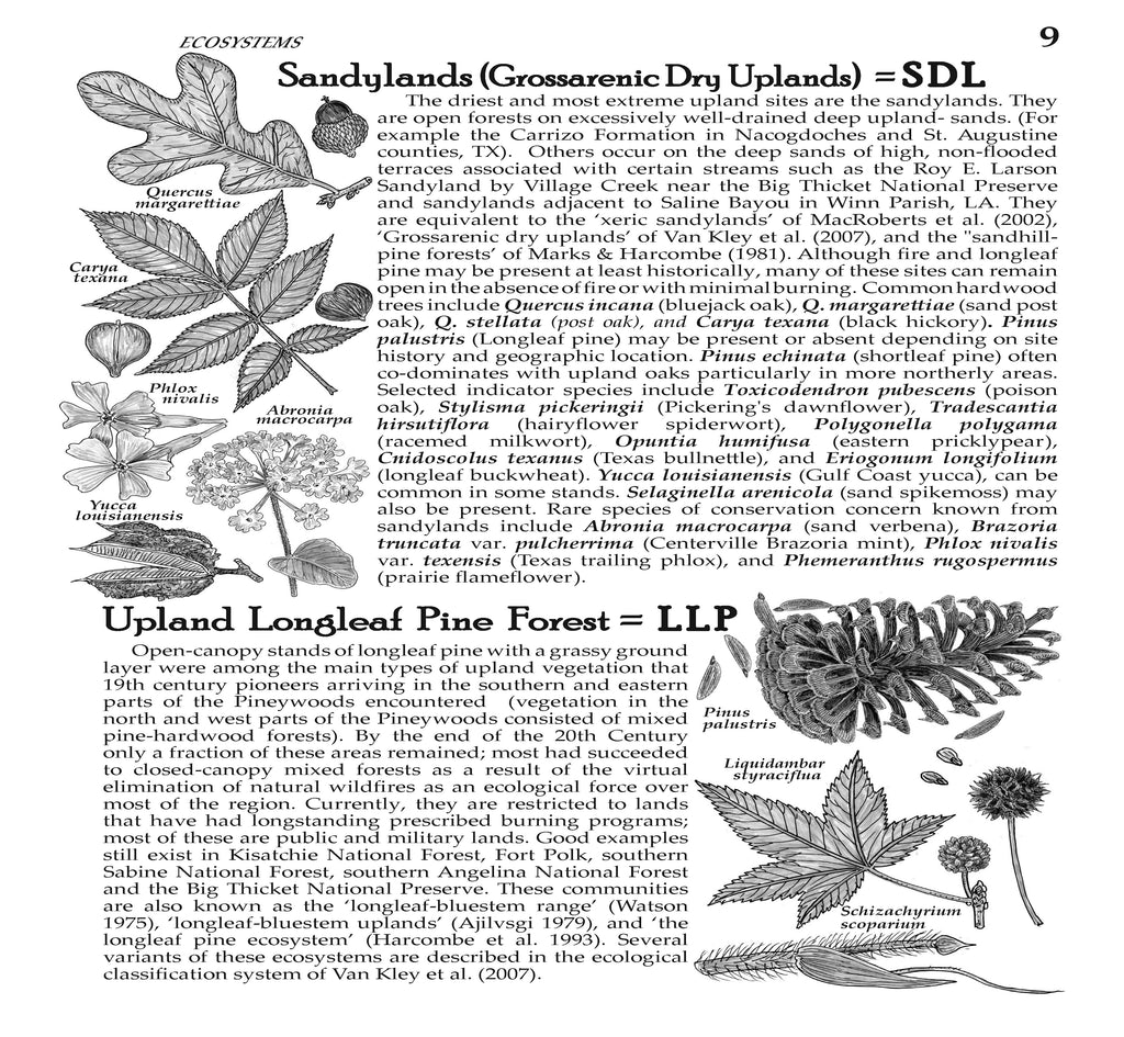 Plants of the Pineywoods of East Texas & West Louisiana