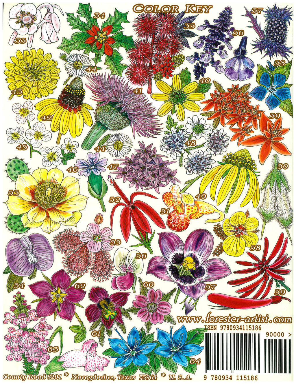 Plants of the Pineywoods of East Texas & West Louisiana