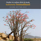 Introduction to Plants in Central Somaliland. Hordhac ku saabsan dhirta ka baxda badhtamaha Soomaalilaand, Second Edition