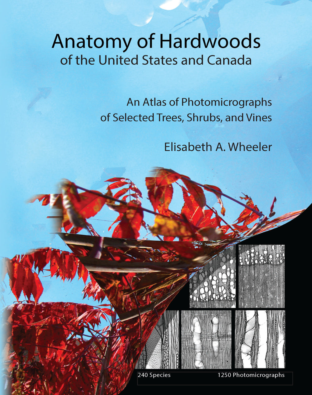 Anatomy of Hardwoods of the United States and Canada: An Atlas of Photomicrographs of Selected Trees, Shrubs, and Vines