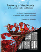 Anatomy of Hardwoods of the United States and Canada: An Atlas of Photomicrographs of Selected Trees, Shrubs, and Vines