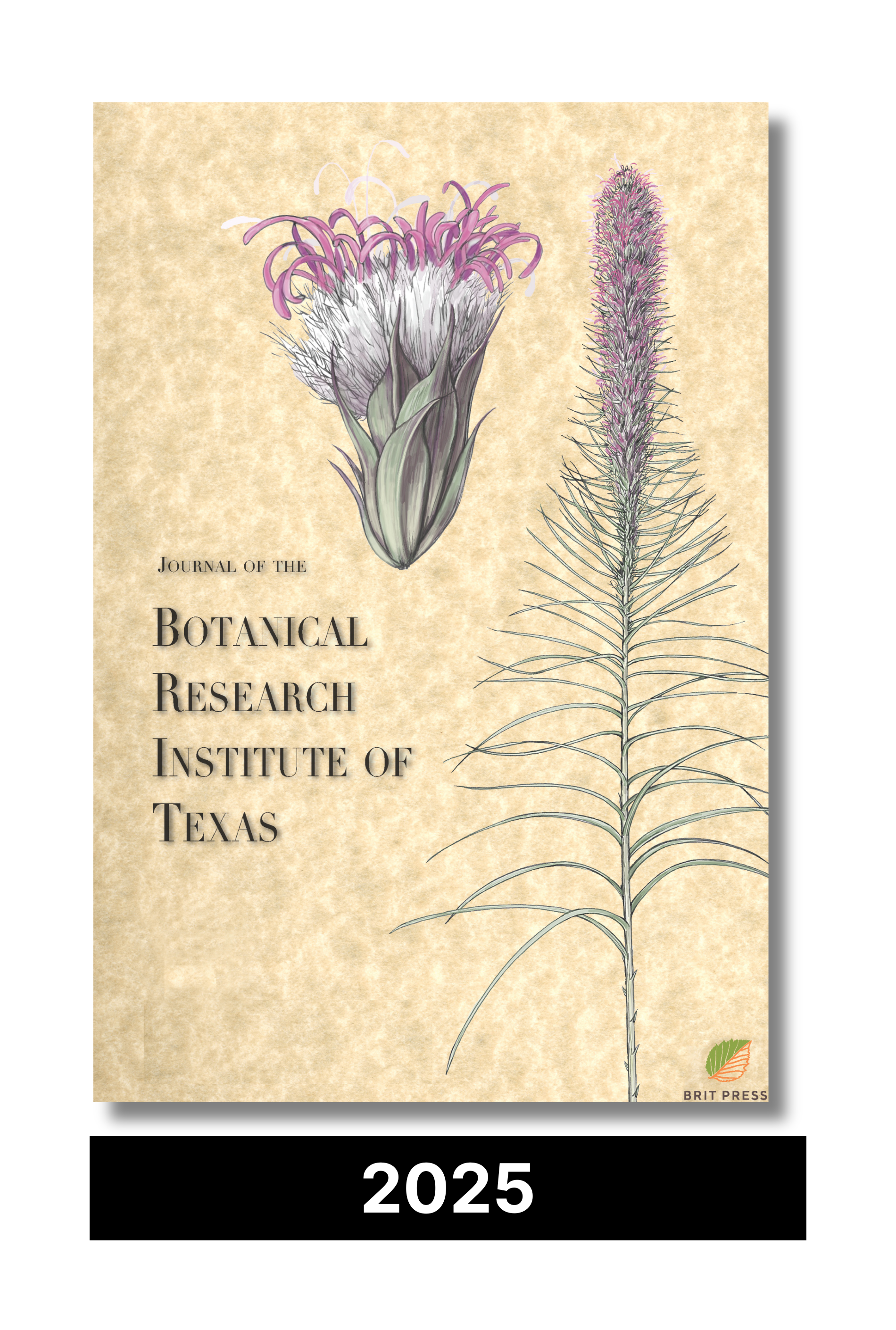 2025 JBRIT Subscription