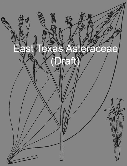 Asteraceae of East Texas (draft)