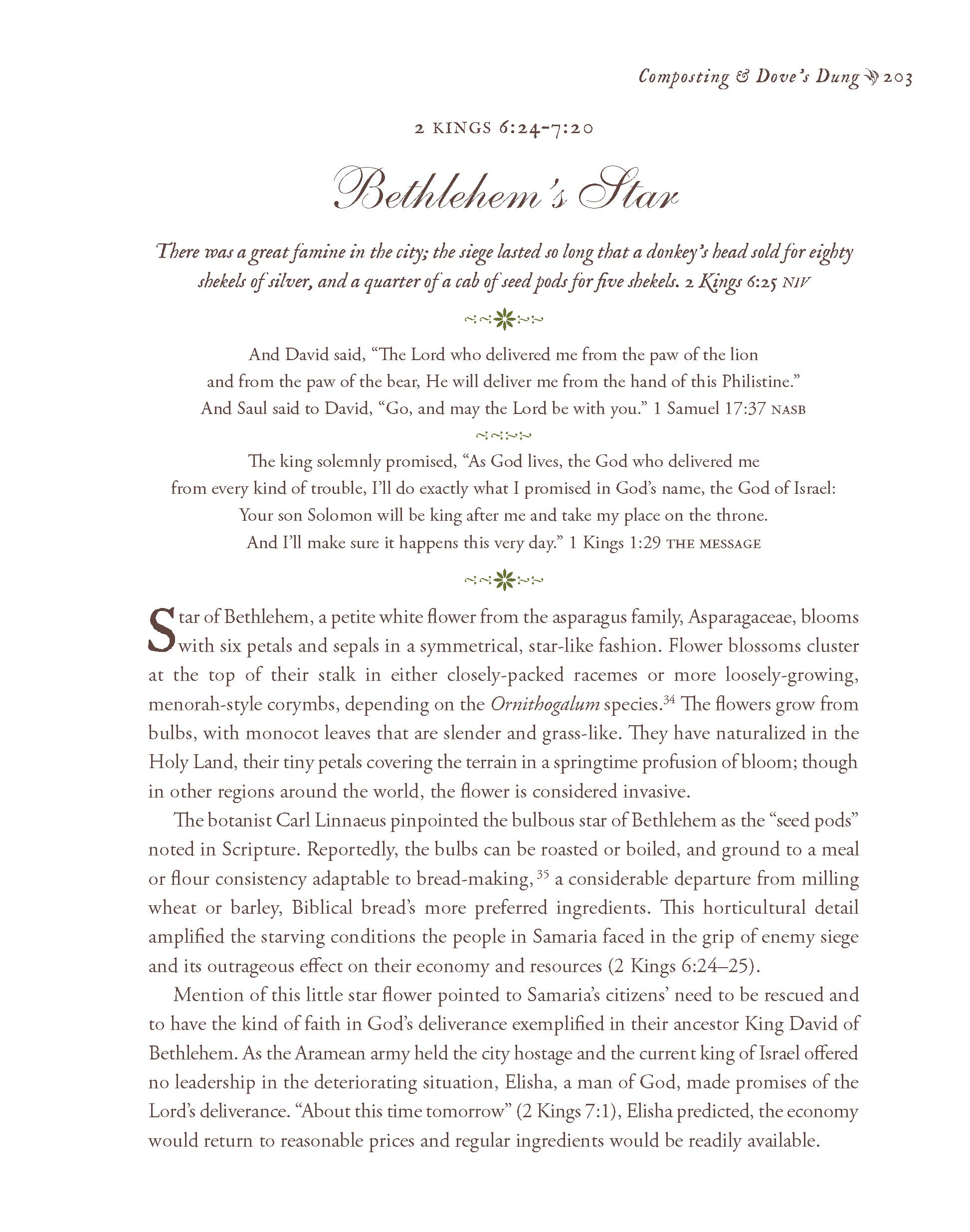 My Father is the Gardener, Devotions in Botany and Gardening of the Bible