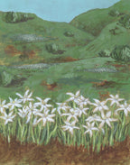 My Father is the Gardener, Devotions in Botany and Gardening of the Bible