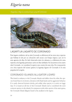 Plantas y animales únicos de las islas del Pacifico de Baja California - Unique plants and animals of the Baja California Pacific Islands