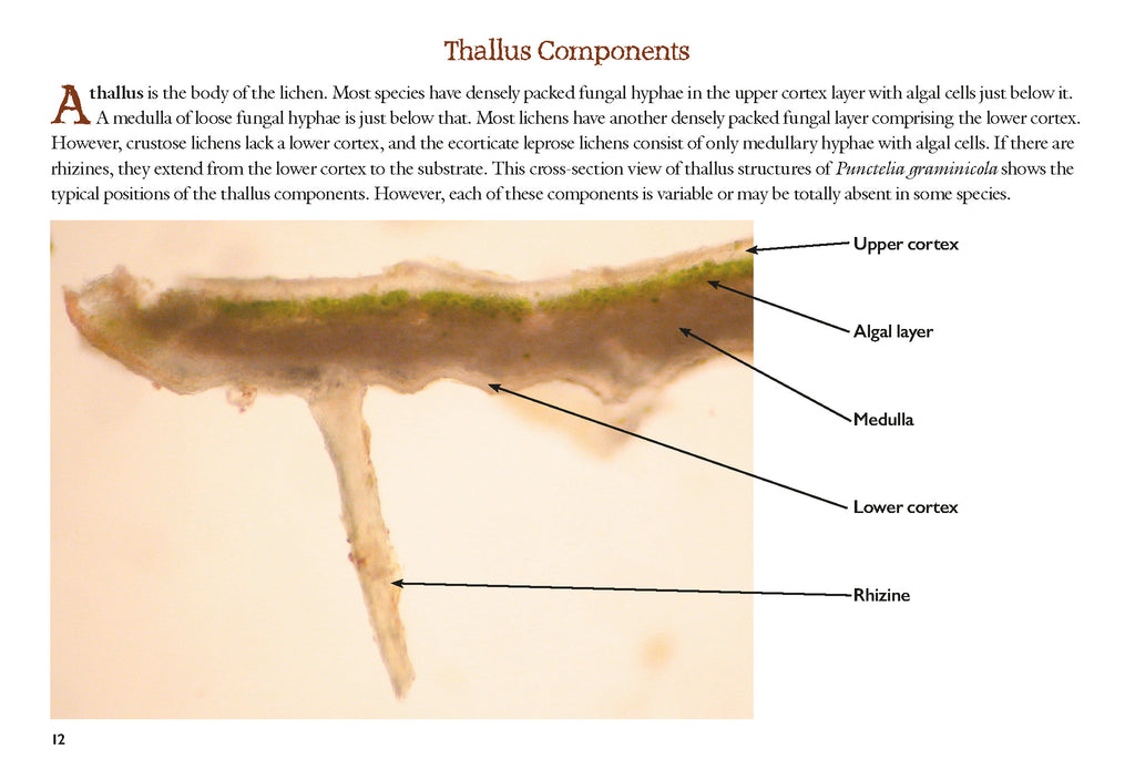 Lichen Study Guide for Oklahoma and Surrounding States