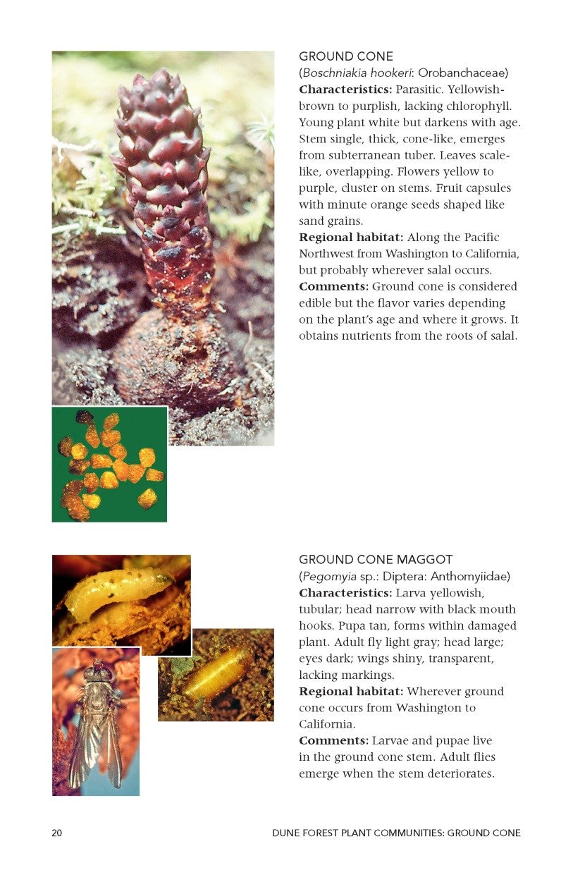 A Naturalist's Guide to Plant Communities of Pacific Northwest Dune Forests and Wetlands