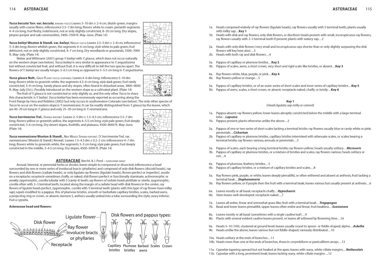 Flora of Colorado, Second Edition