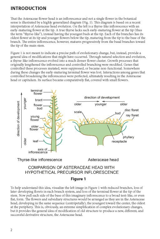 The Sunflower Family: A Guide to the Family Asteraceae in the Contiguous United States