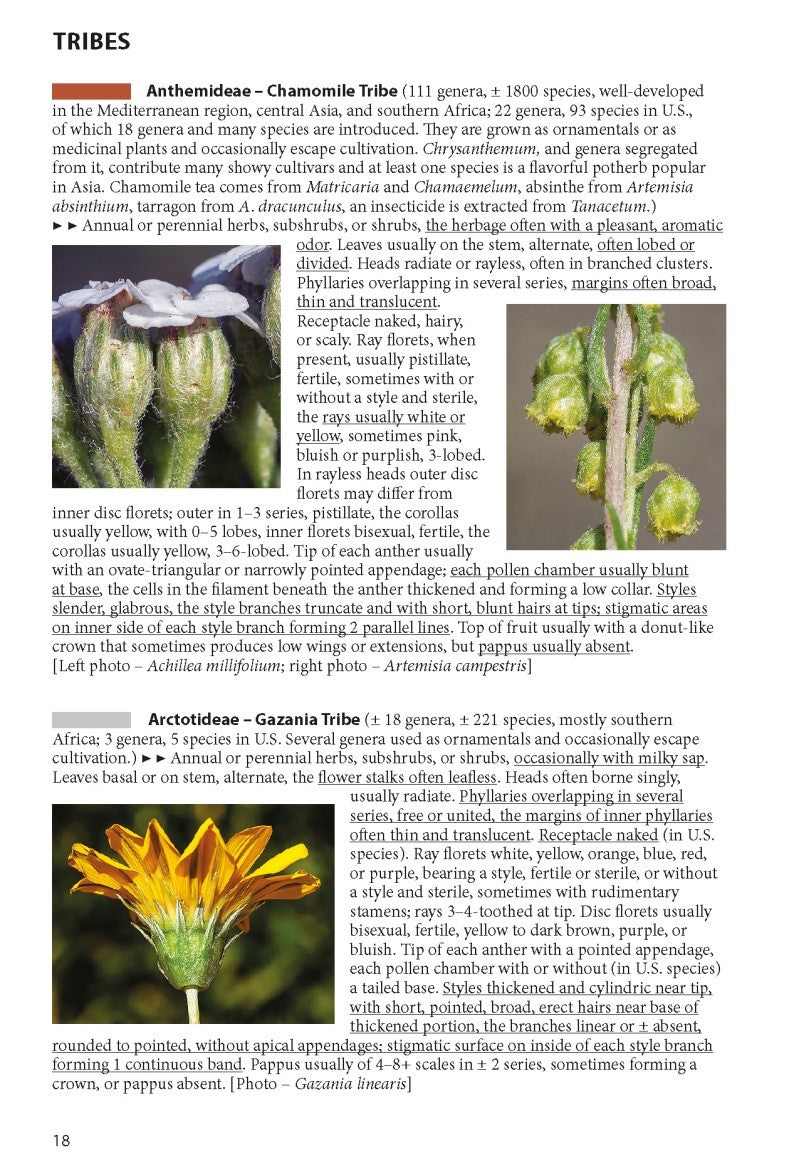 The Sunflower Family: A Guide to the Family Asteraceae in the Contiguous United States