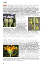 The Sunflower Family: A Guide to the Family Asteraceae in the Contiguous United States